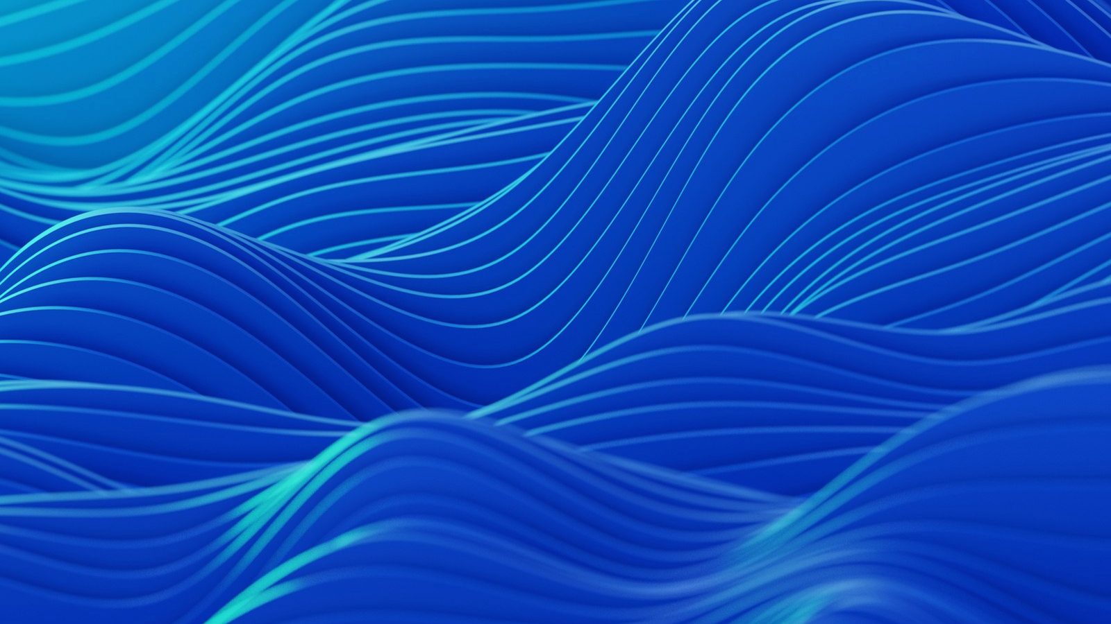 Flash USDT Software upgrade roadmap from Demo to Lifetime plan